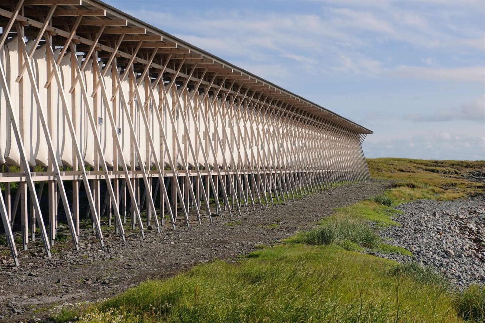 洋書 Louise Bourgeois and Peter Zumthor 洋書 Louise Bourgeois and Peter Zumthor Louise Bourgeois and